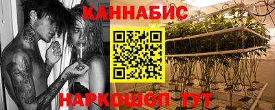 индика Ирбит