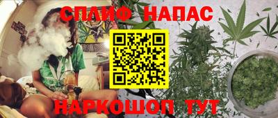 индика Ирбит