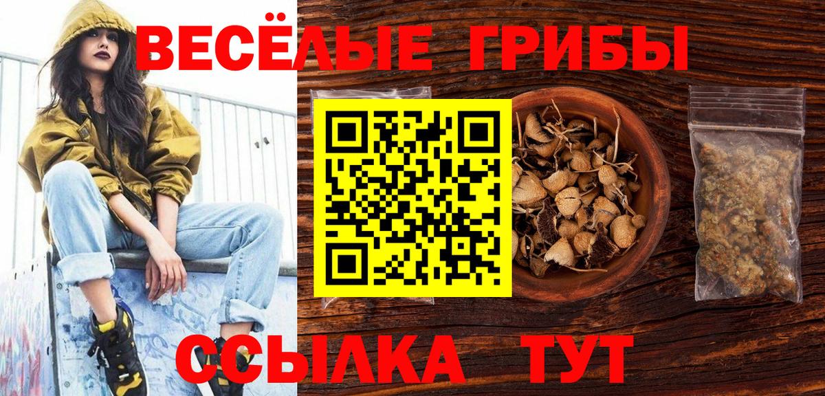 Псилоцибиновые грибы прущие грибы  Галлюциногенные грибы ЛСД  Вход с VPN  Волхов 