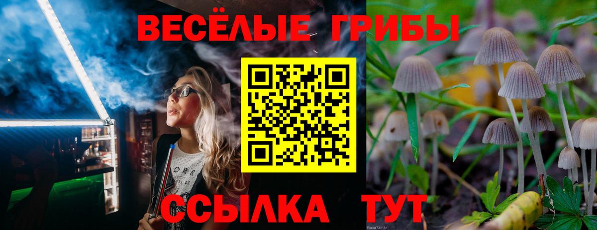 Галлюциногенные грибы Psilocybine cubensis Волхов